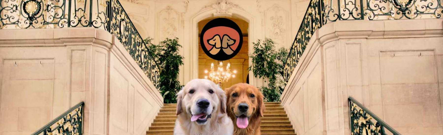 Hooligans Petcare