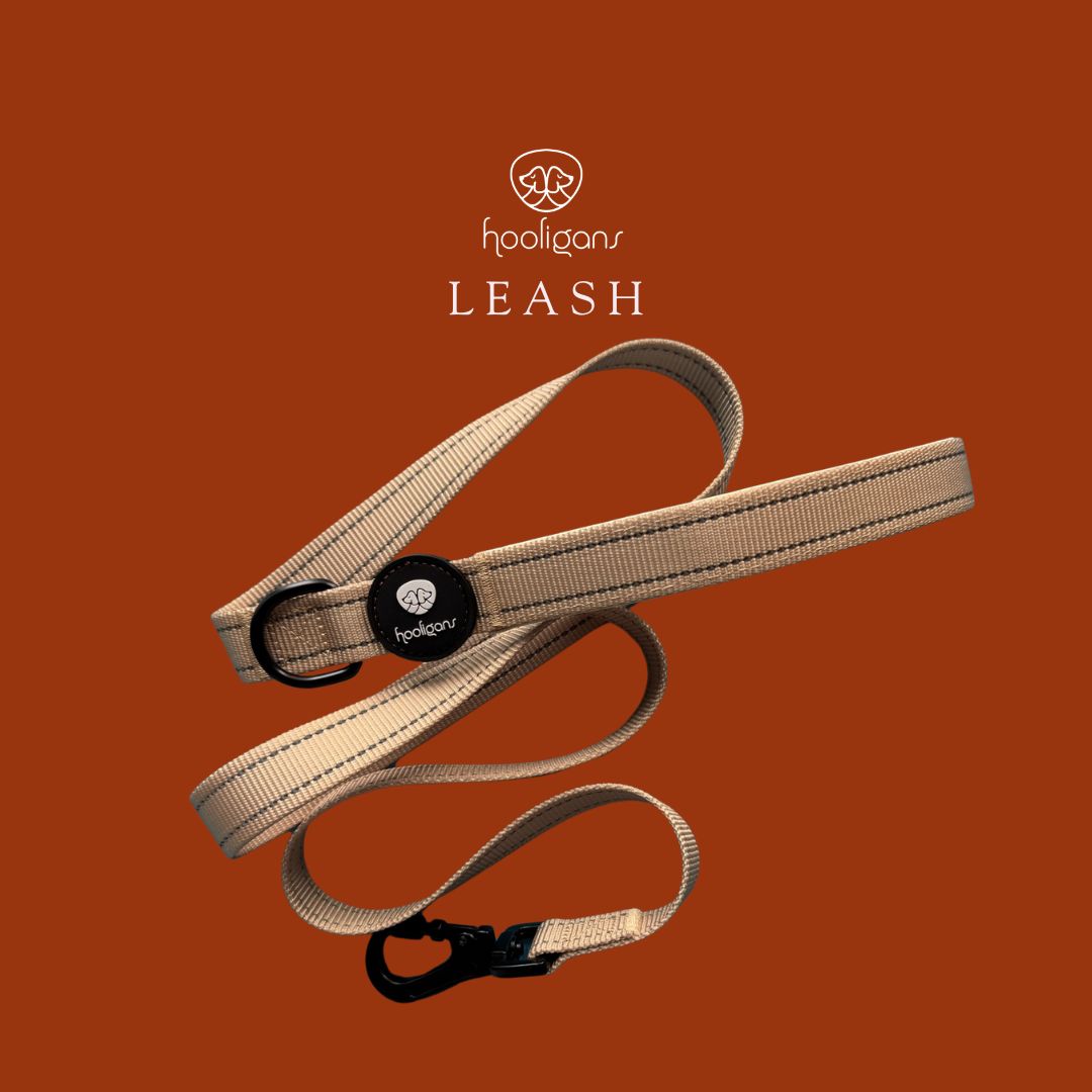 Hooligans No-Nonsense Leash | Beige