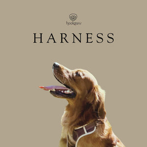 Hooligans Harness Brown Dog