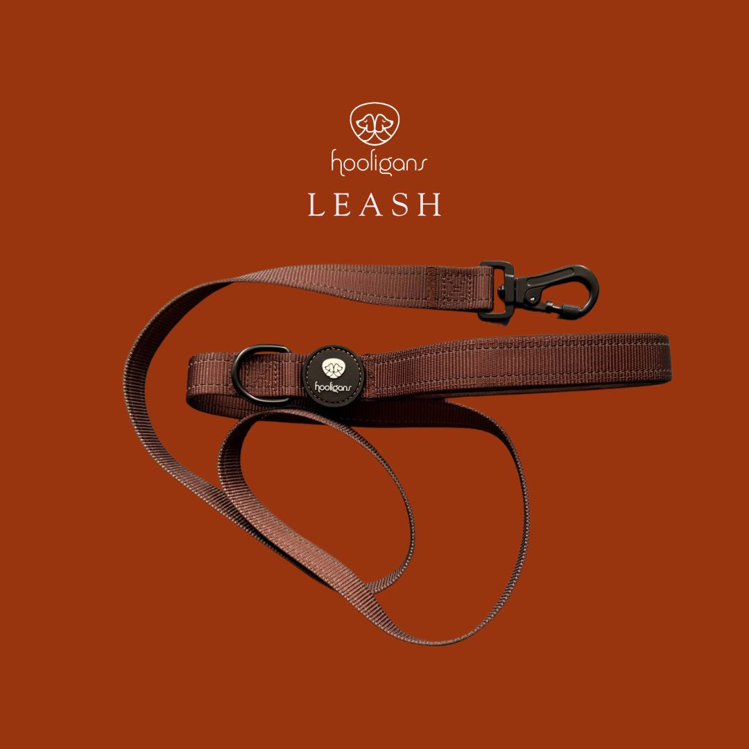 Hooligans No-Nonsense Leash | Espresso Brown