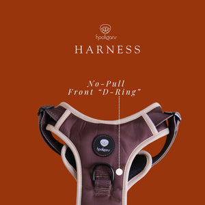 Hooligans Harness Front Dring