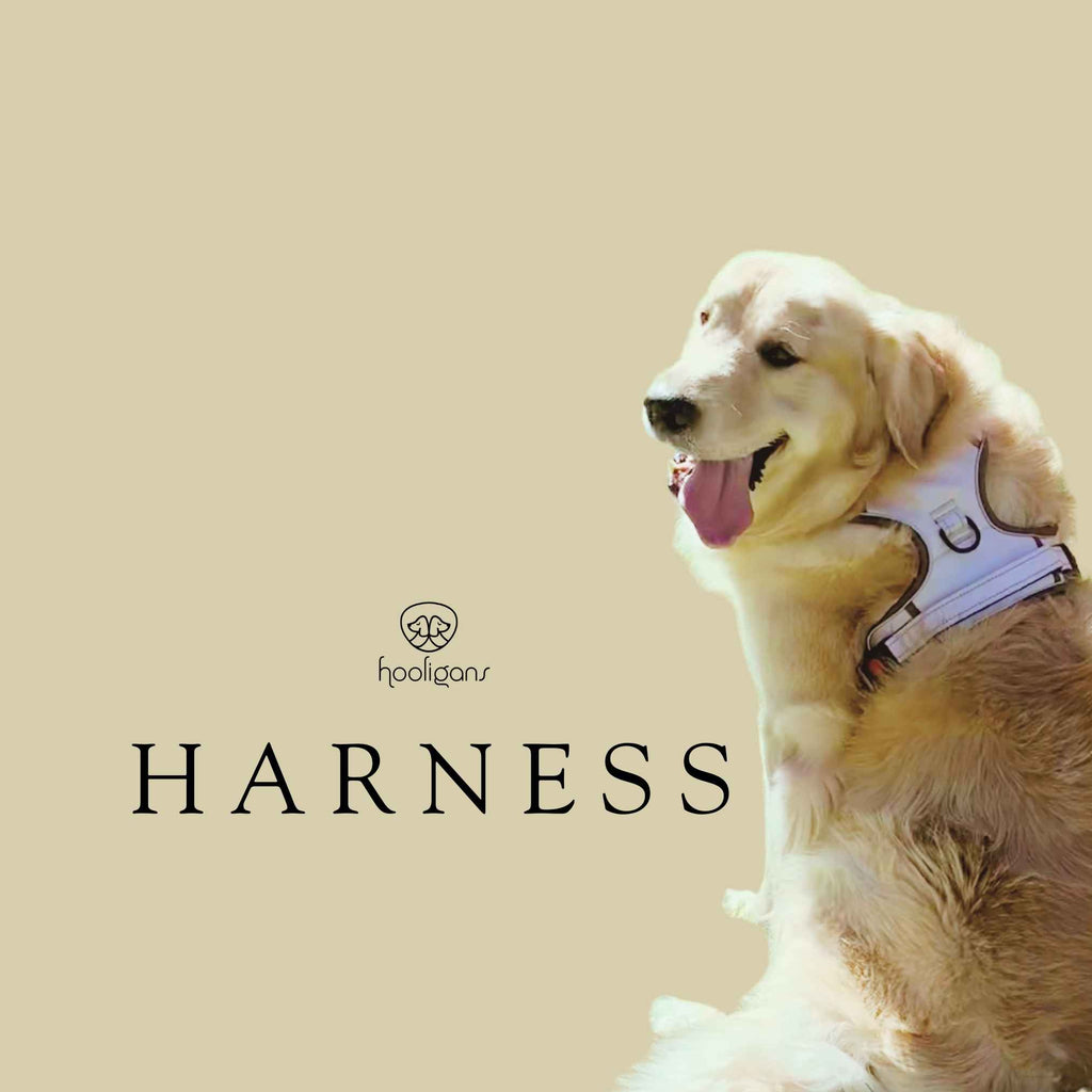 Hooligans Harness Khaki Dog