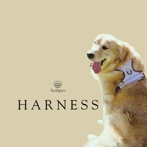Hooligans Harness Khaki Dog