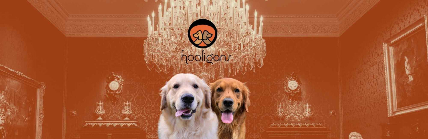 Hooligans Burnt Sienna Banner Dogs